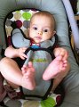 IMG_0460 (2)
